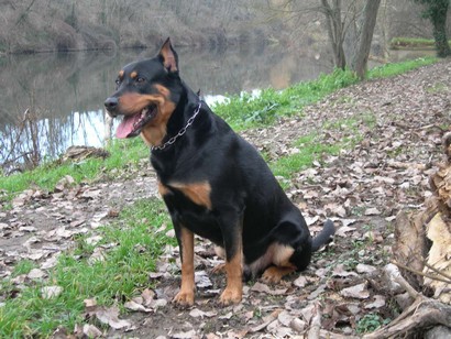 Paco%202005-2006%20(1).jpg