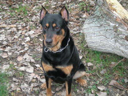 Paco%202005-2006.jpg