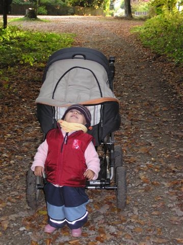 20061024_Camille_regarde_feuilles_tomber.JPG