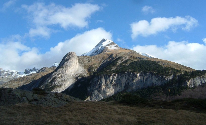 Pimene_pain_de_sucre.jpg